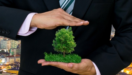 Safeguarding the environment to future-proof our economy